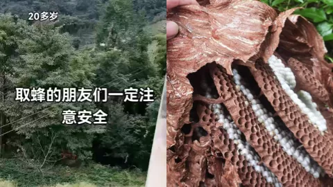 宜宾筠连