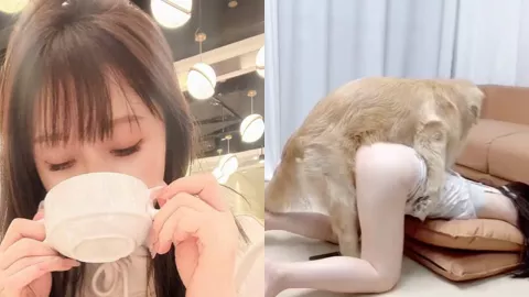 人狗情未了泥马事件真实故事