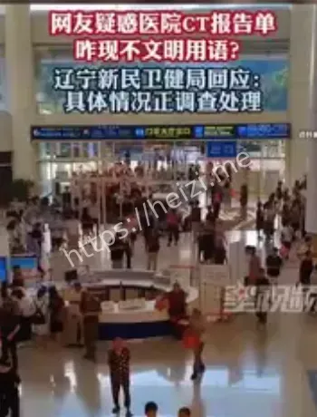 CT报告单不文明用语