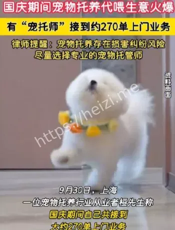 国庆宠物托养价格