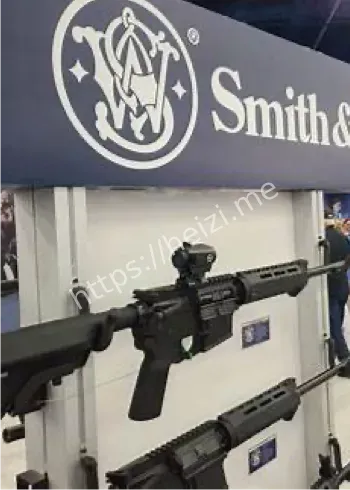 民用枪支出口政策