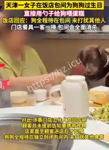 女子给狗过生日