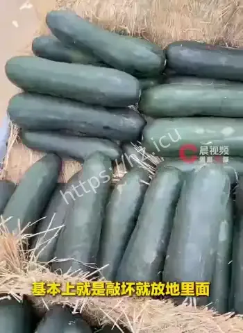 小伙敲冬瓜成网红