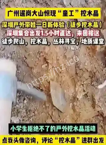 淘晶热毁了广州